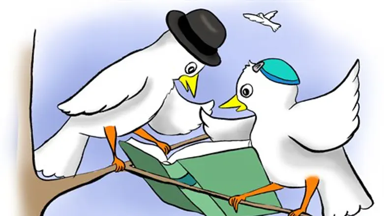 נדידת העמים בבין הזמנים מביאה לחיבור בין אחים טבעיים לדרך