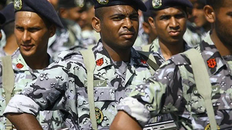 Иранская армия. Иллюстрация