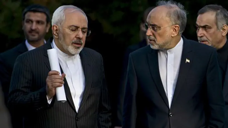 Iranian FM Javad Zarif, AEOI chief Ali Akbar Salehi