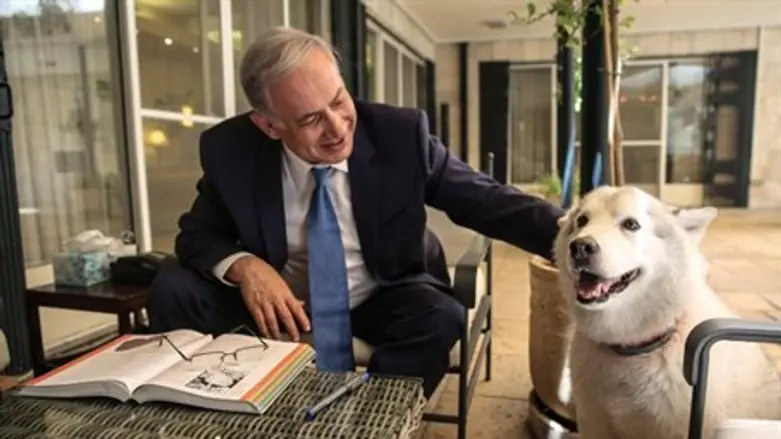 Netanyahu and Kaiya