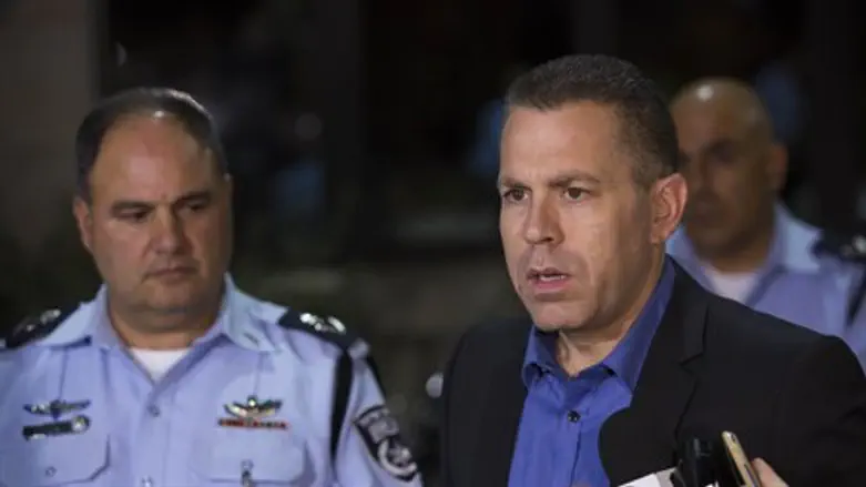 Erdan announced Hirsch appointment