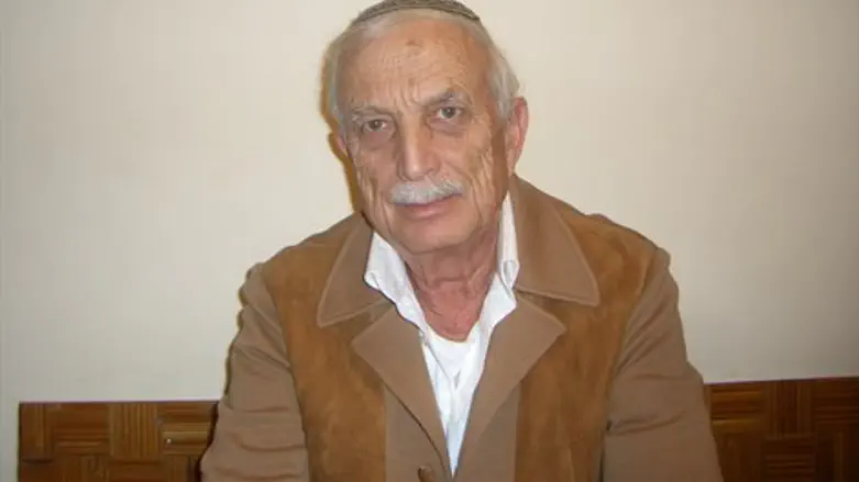 פרופ' אמנון שפירא