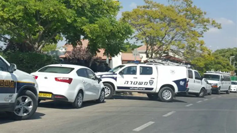 רכבי משטרה מקיפים את האזור