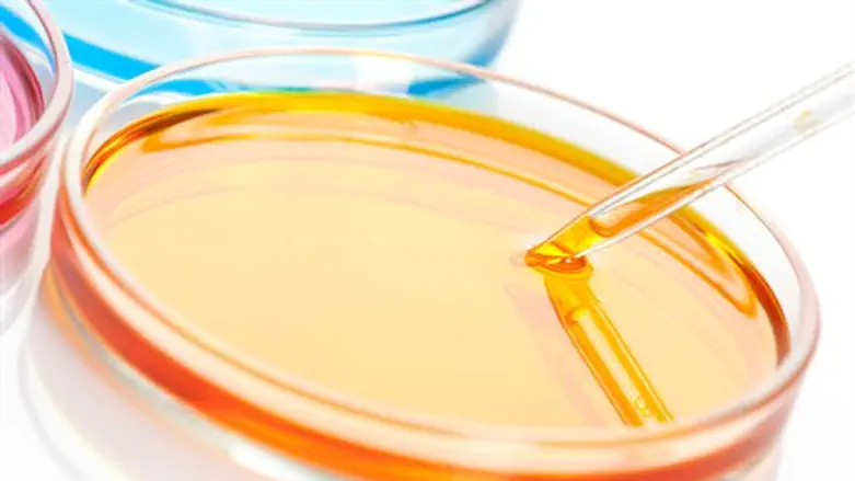 להתכונן לפני ההריון