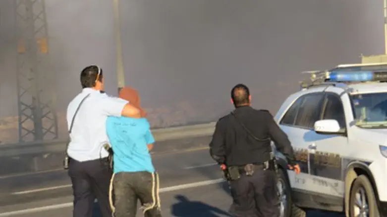 הפגנה מעצר משטרה