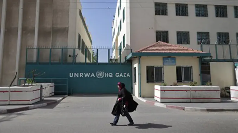 מאבקים נמשכים. אונר"א בעזה