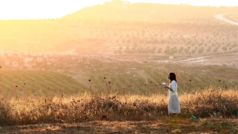 סליחות וניגונים