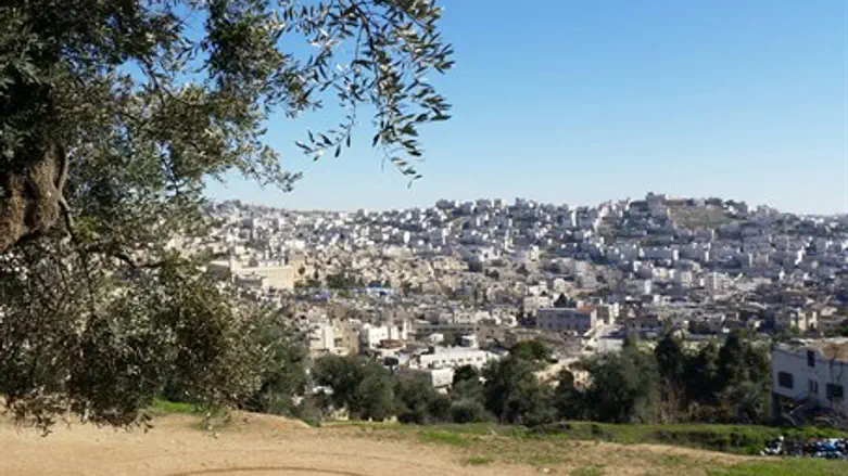 Hevron