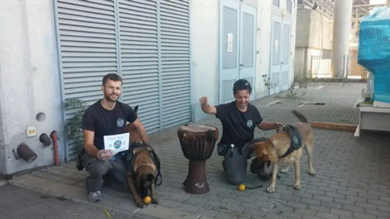 כלבני יחידת הסמים והתוף