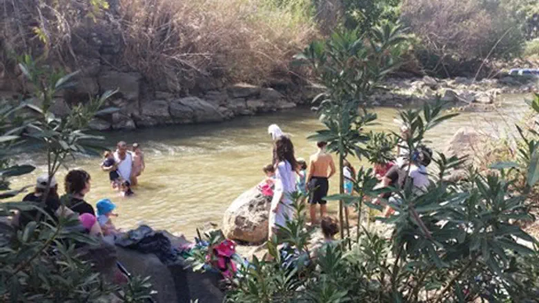 תיירים רבים