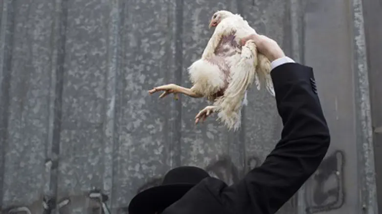 מנהג ה'כפרות'