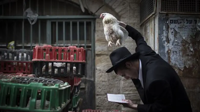 Kaparot chicken waving ritual