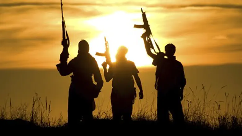 Jihadists