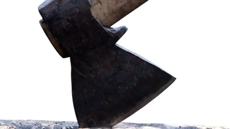 Axe (illustration)