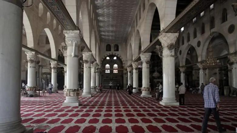 אני לא אומר שנתחיל ליפול על שטיח חמש פעמים ביום, אבל השטיח בהחלט יכול להוסיף לעיצוב