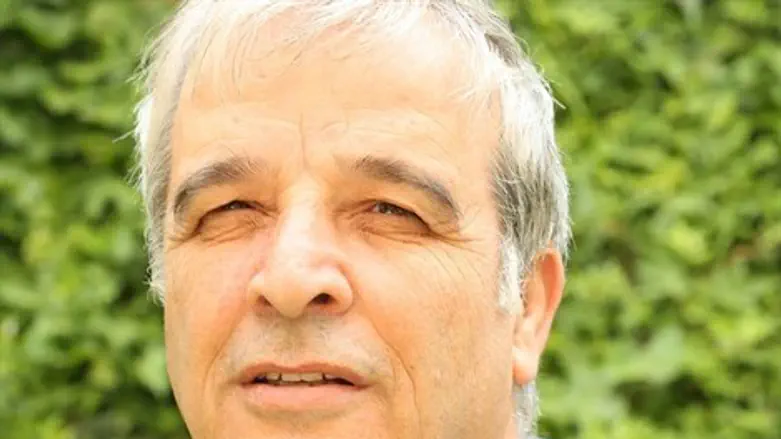אבי רואה