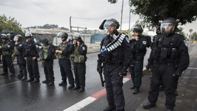 Police forces (file)