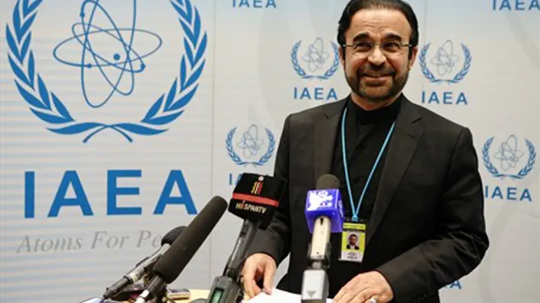Iran's ambassador to the IAEA Reza Najafi