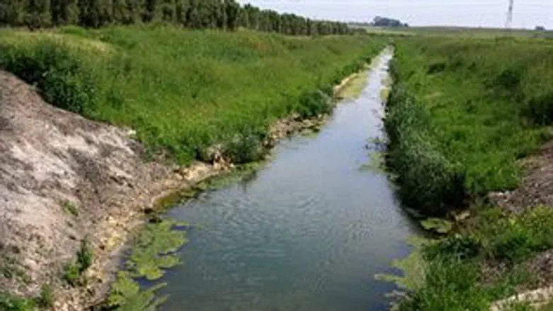 נחל. אילוסטרציה