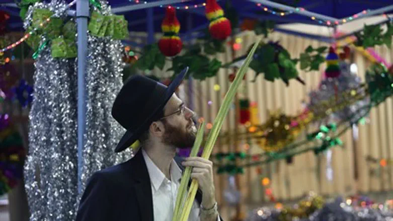 Prepping for Sukkot