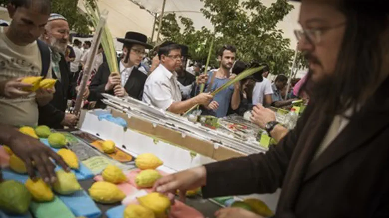 Preparing for Sukkot in Israel