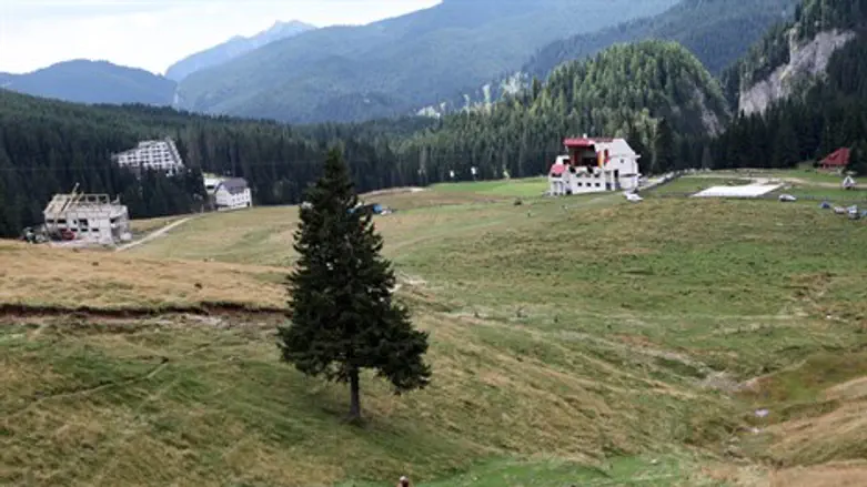 מדריך ישראלי נהרג. רומניה