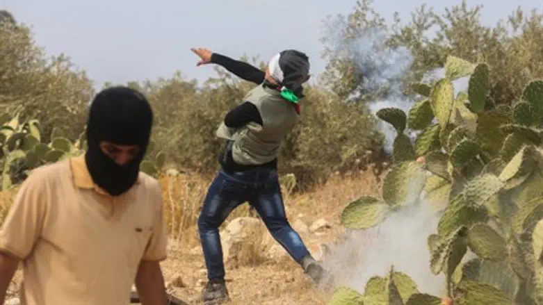 Rock-throwing Arabs (file)