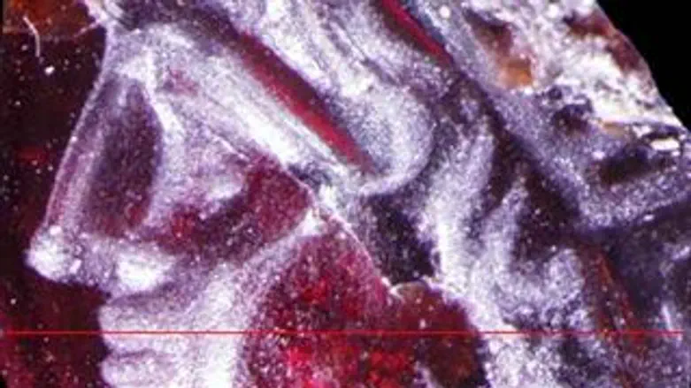 תגלית נדירה ומפתיעה