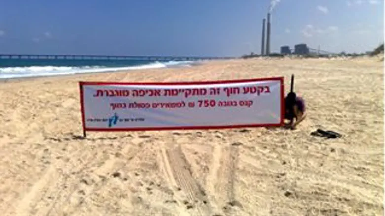 חוף נקי. זיקים