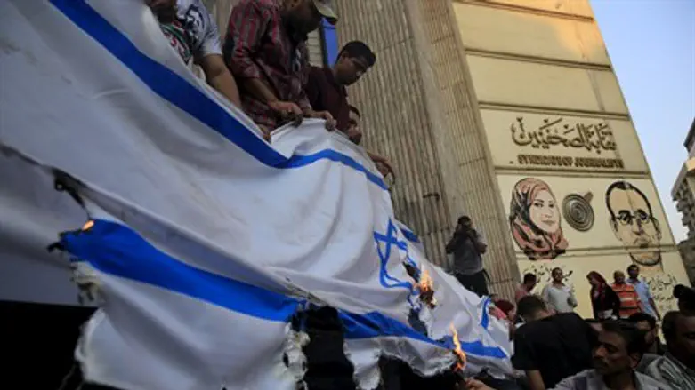 Egyptians burn Israeli flag in Cairo