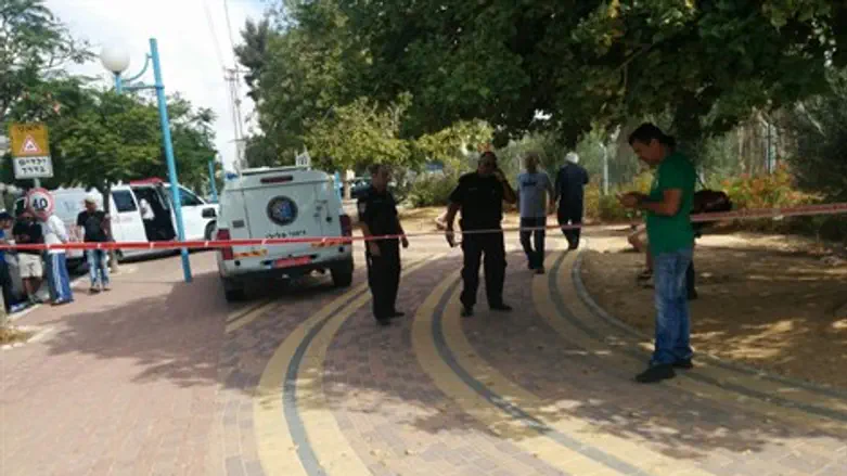 זירות האירוע בדימונה, הבוקר