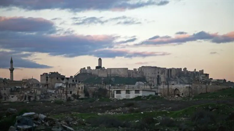 Aleppo's historic citadel