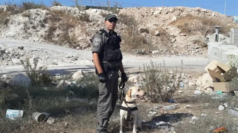 Canine specialist by Isawiya checkpoint