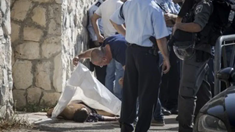 Arab stabber shot in Jerusalem's Armon Hanatziv (file)