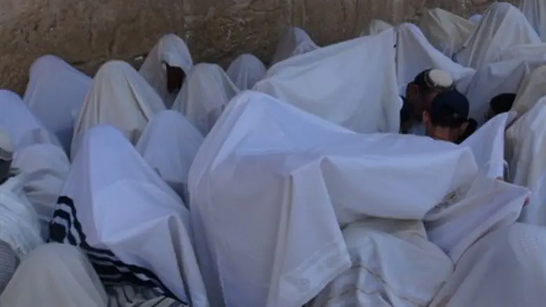 Kohanim perform blessing (file)