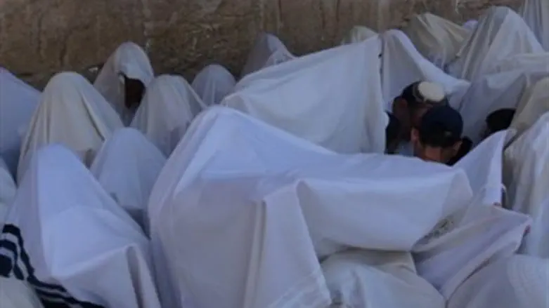 Kohanim perform blessing (file)