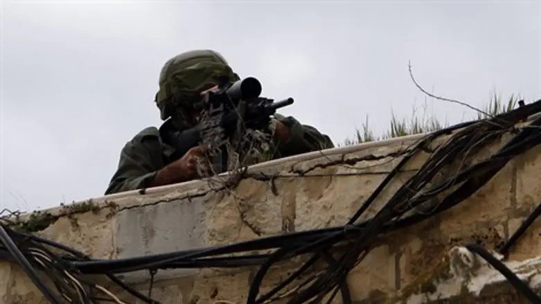 צלף צהלי. אילוסטרציה