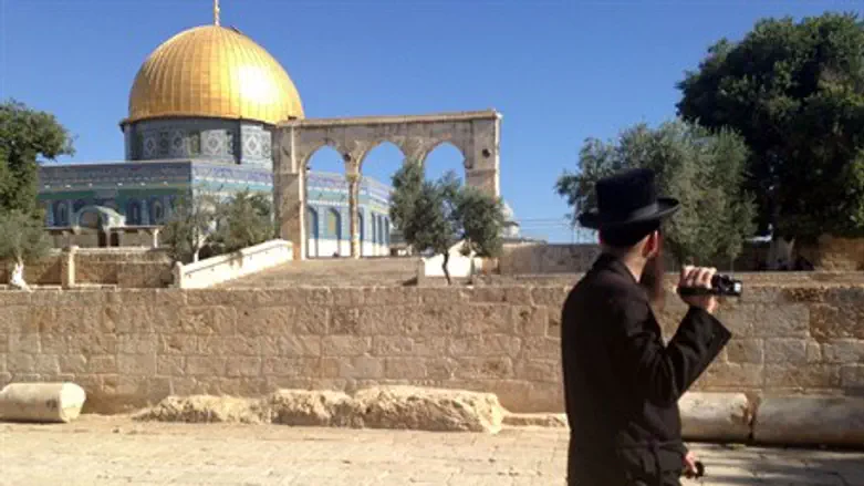 Jew on the Temple Mount (illustration)