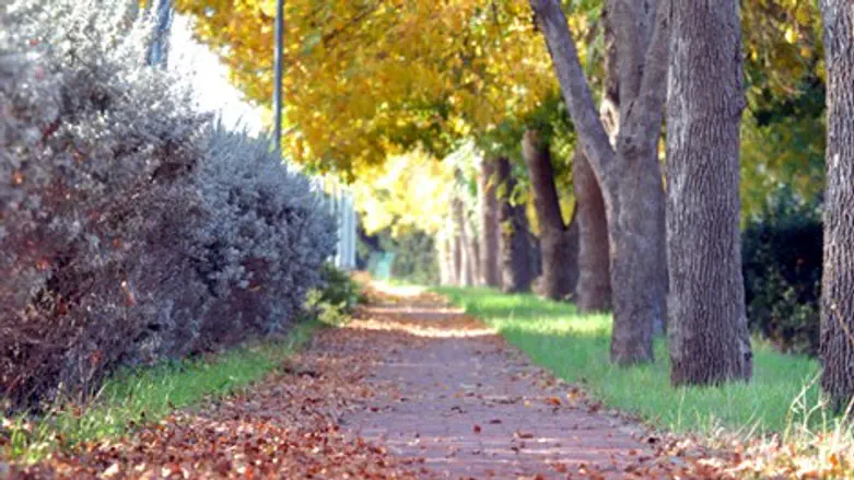 מה נלבש בסתיו?