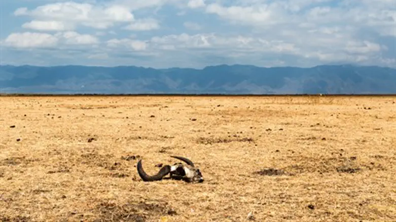 שלום לא יהיה כאן, גם בעוד חמישים שנים