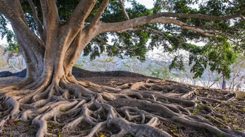 המקור העליון להשראה