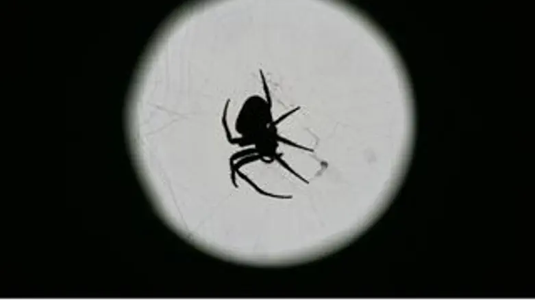 מפחידים אבל לא את כולם