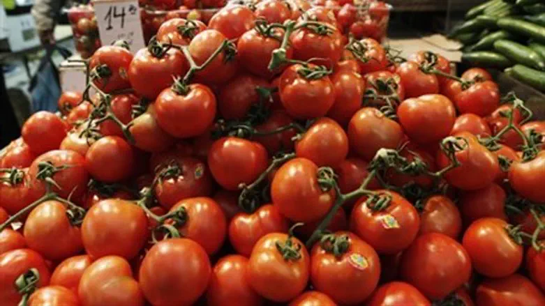 Tomatoes (file)