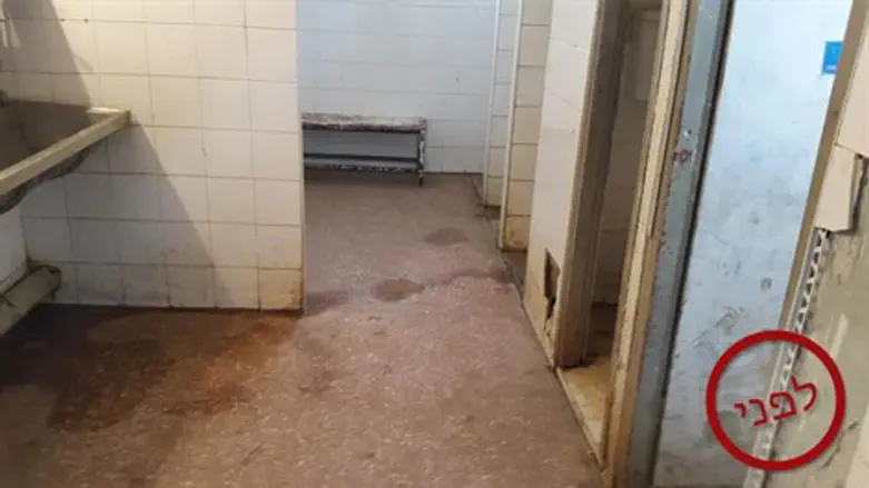 לפני השיפוץ