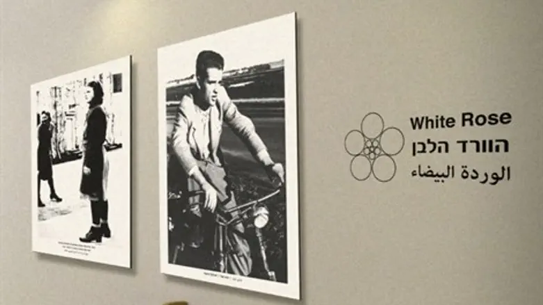 הסיפור שלא סופר. הוורד הלבן