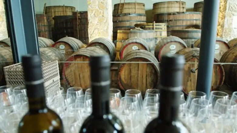 Winery in Judea-Samaria region