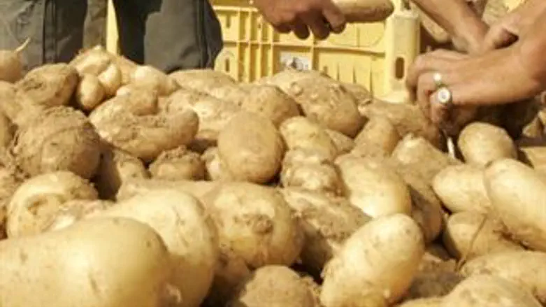 איך אתם מעדיפים את התפוח שלכם?