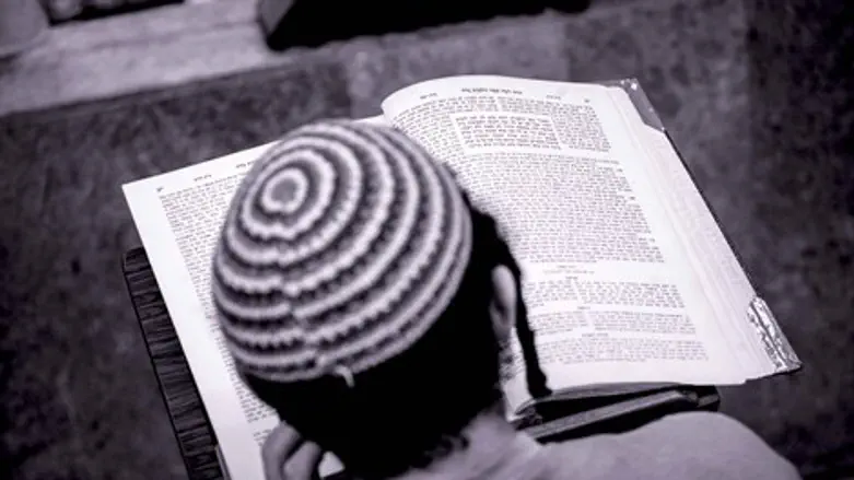 כדי להבין את התורה צריך עצה