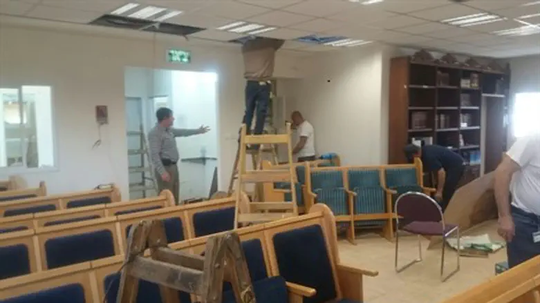 איילת השחר החדש