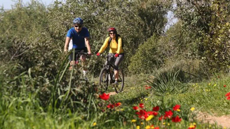 Israelis enjoy the sunshine (file)